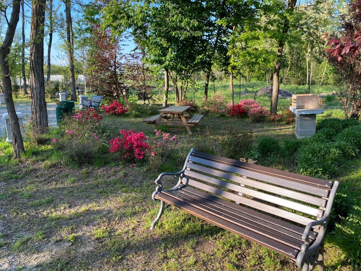 Oasilandia Bed & Breakfast Dorno Exterior photo